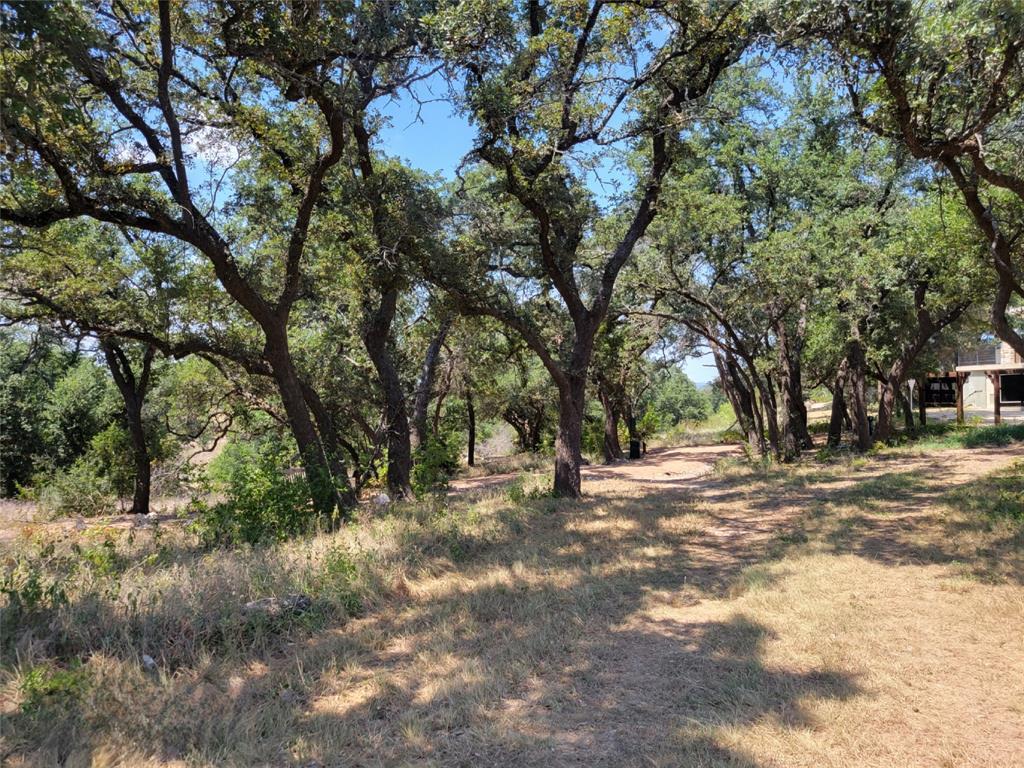 242 Freeman Loop Liberty Hill, TX 78642 - Photo 24 of 25 View of yard