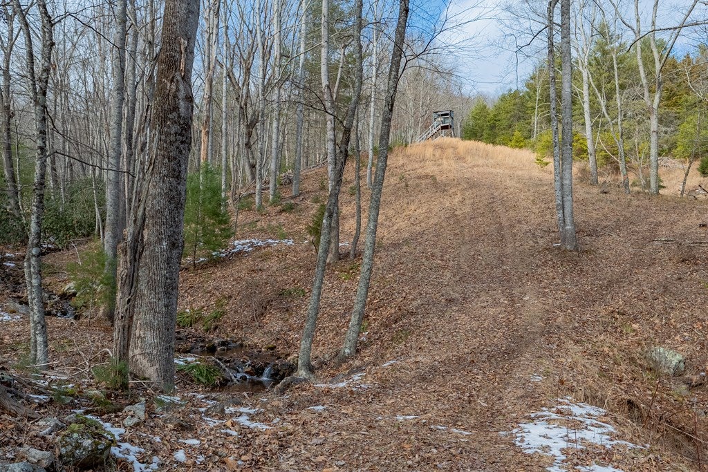 Tbd Spur Branch Road, Unit 4 Dublin, VA 24084 - Photo 16 of 85 Gallery Image 16