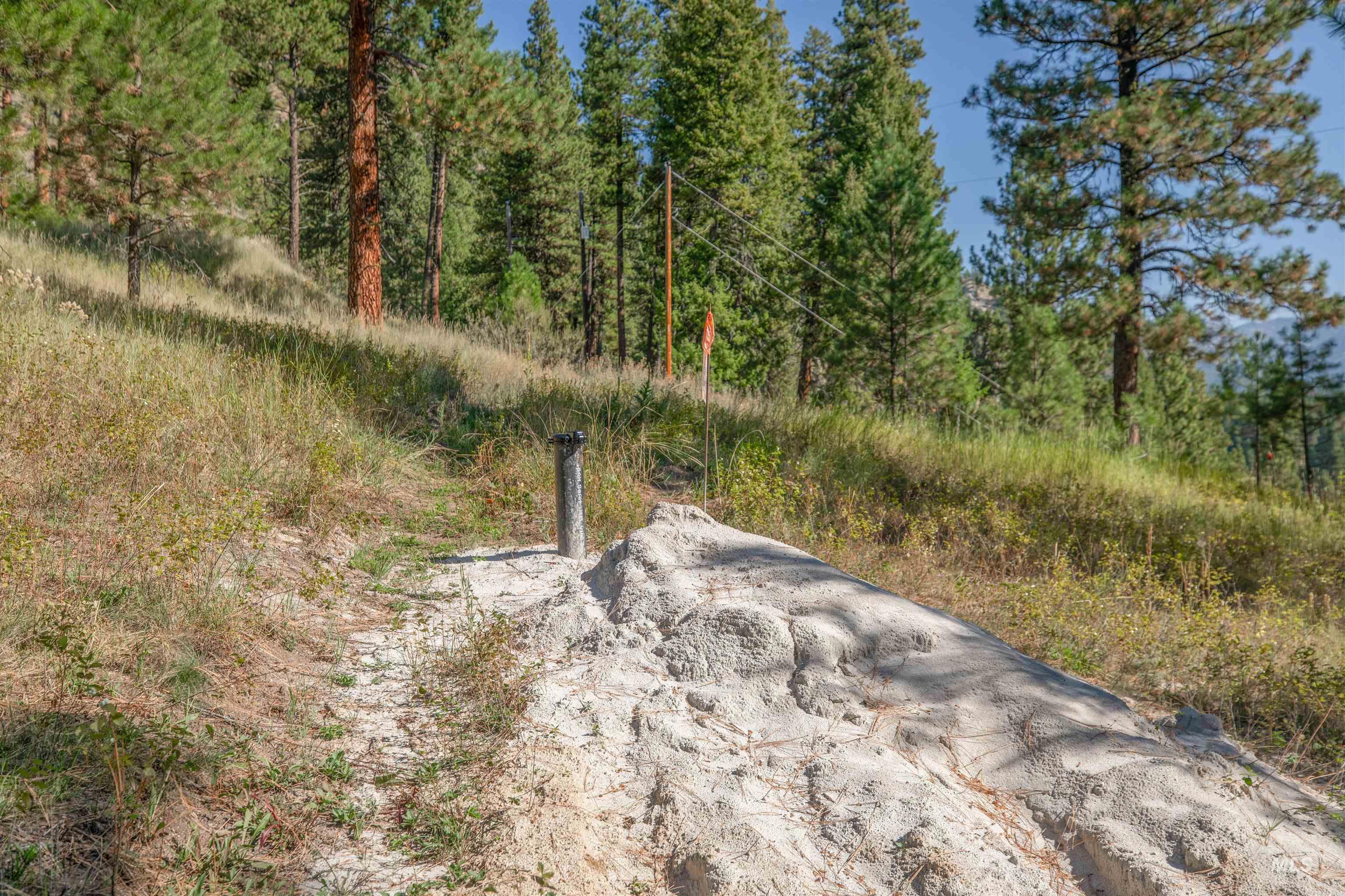 12 Plateau Road Lowman, ID 83637 - Photo 11 of 32 View of road featuring a wooded view from middle of the property