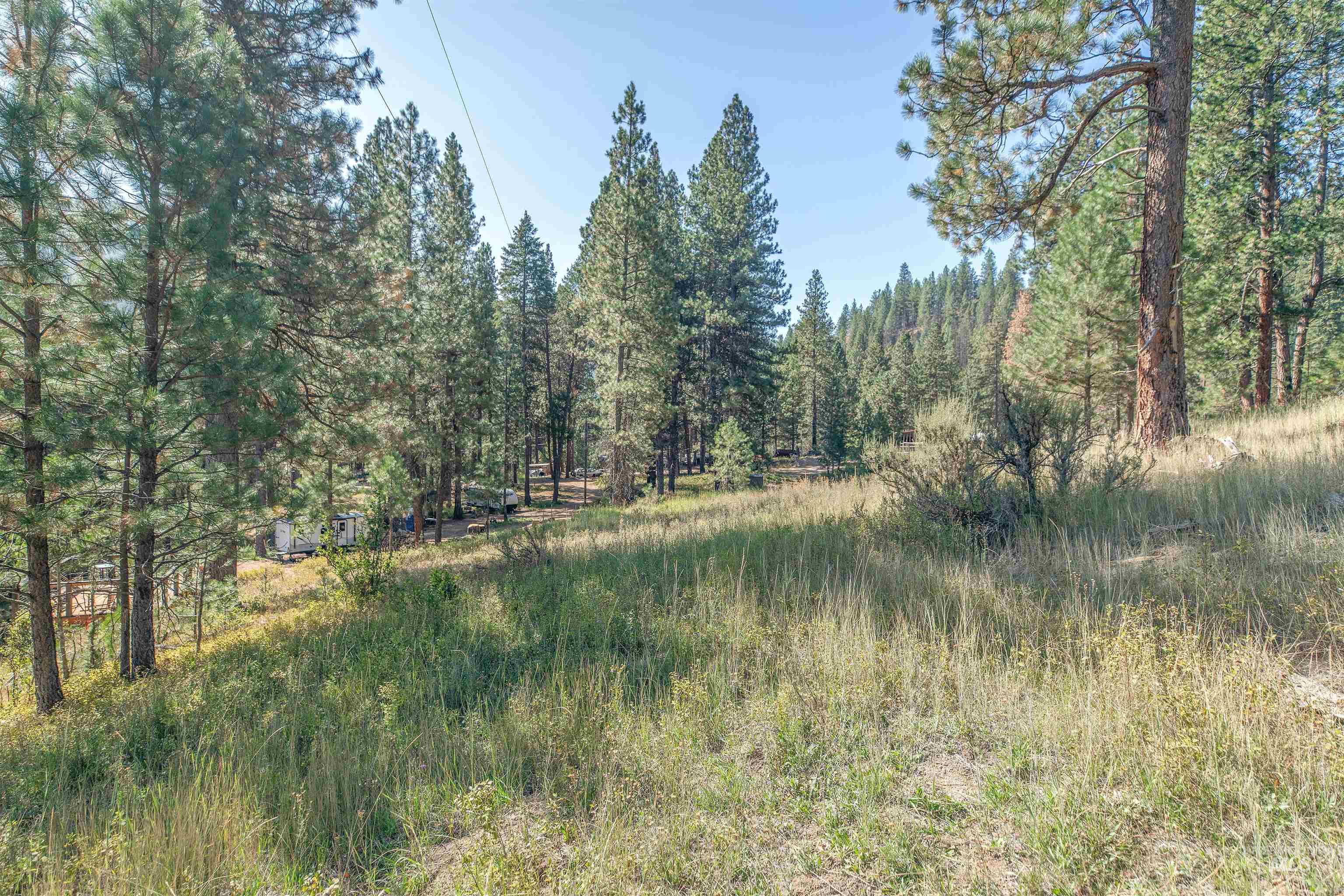 12 Plateau Road Lowman, ID 83637 - Photo 12 of 32 View of tree filled area. We are looking to from this direction from the farthest point from the entrance to the property on the dirt road