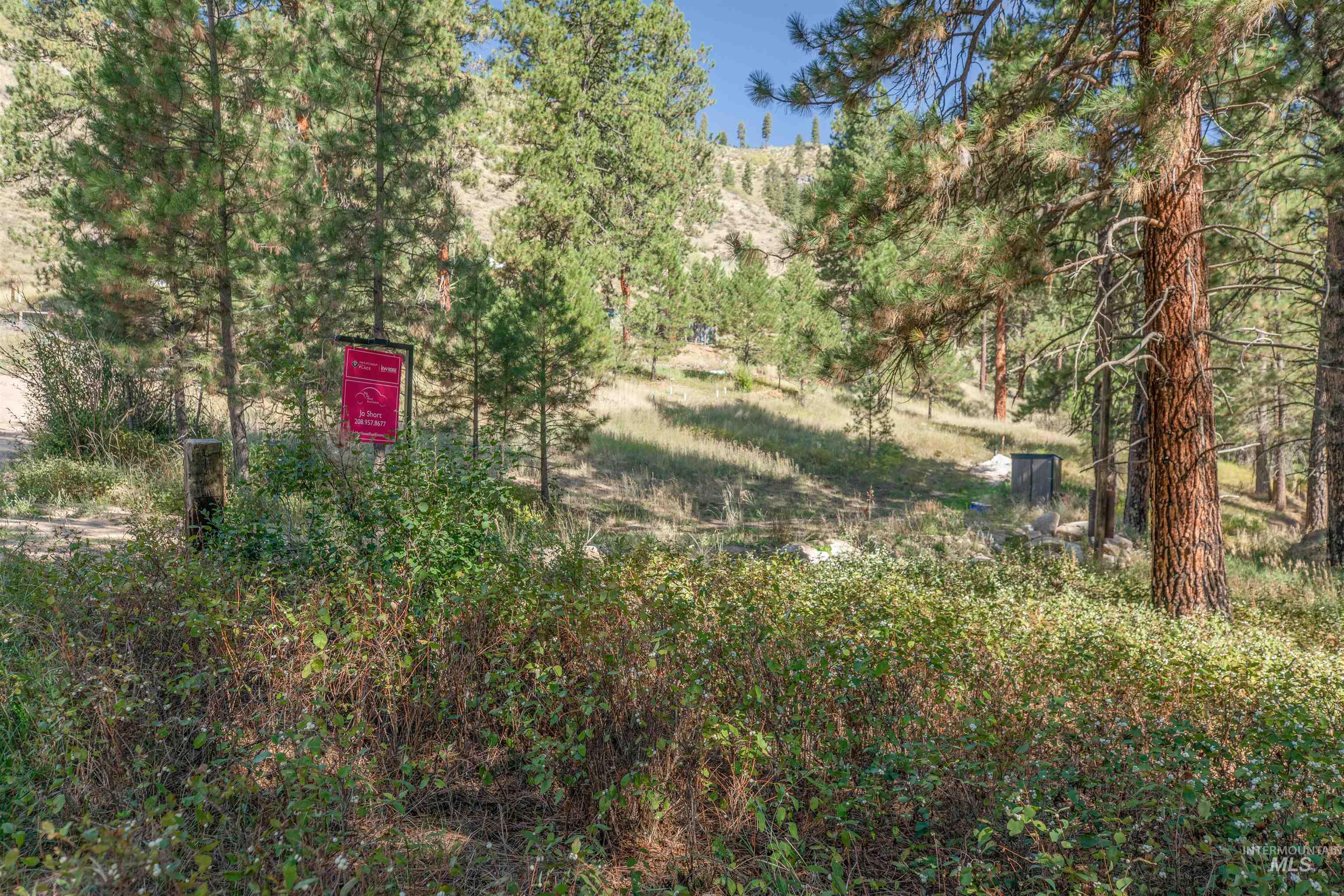 12 Plateau Road Lowman, ID 83637 - Photo 14 of 32 From the sign location- looking up and to the left of the sign is the property
