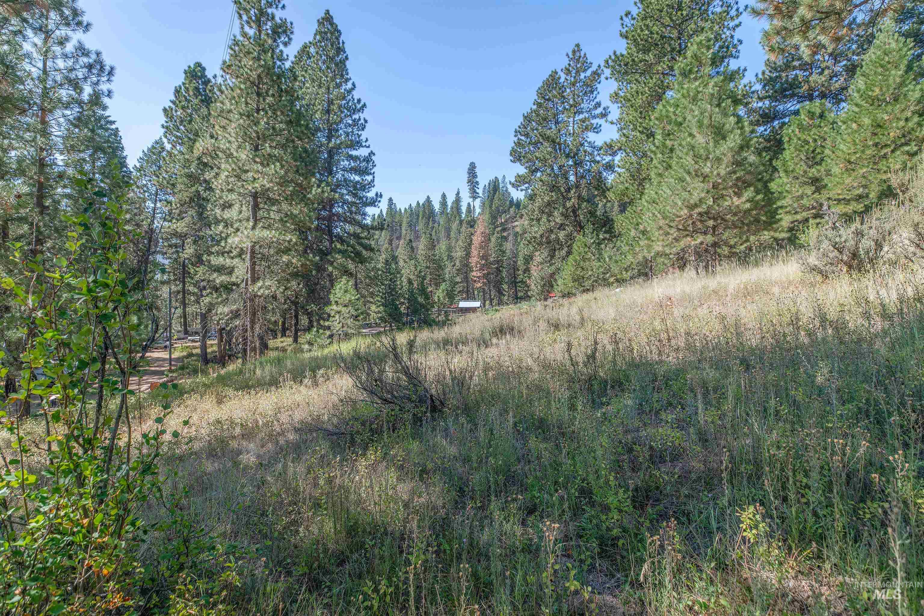 12 Plateau Road Lowman, ID 83637 - Photo 15 of 32 View of wooded area