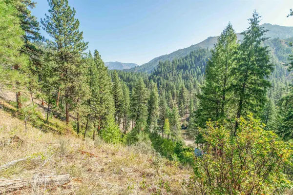 $225,000 | 12 Plateau Road, Lowman, ID 83637