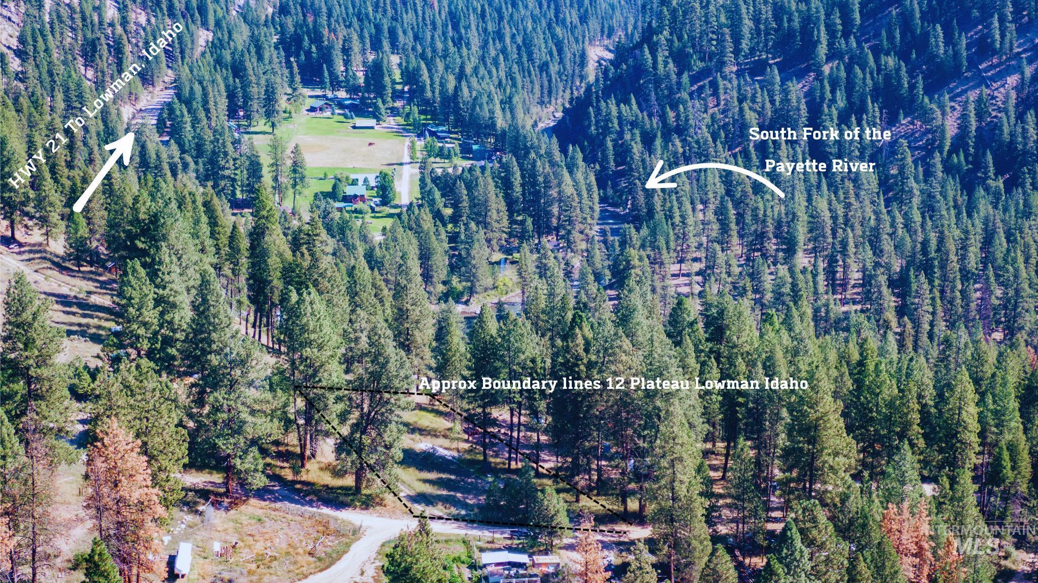 12 Plateau Road Lowman, ID 83637 - Photo 20 of 32 Aerial view of a forest