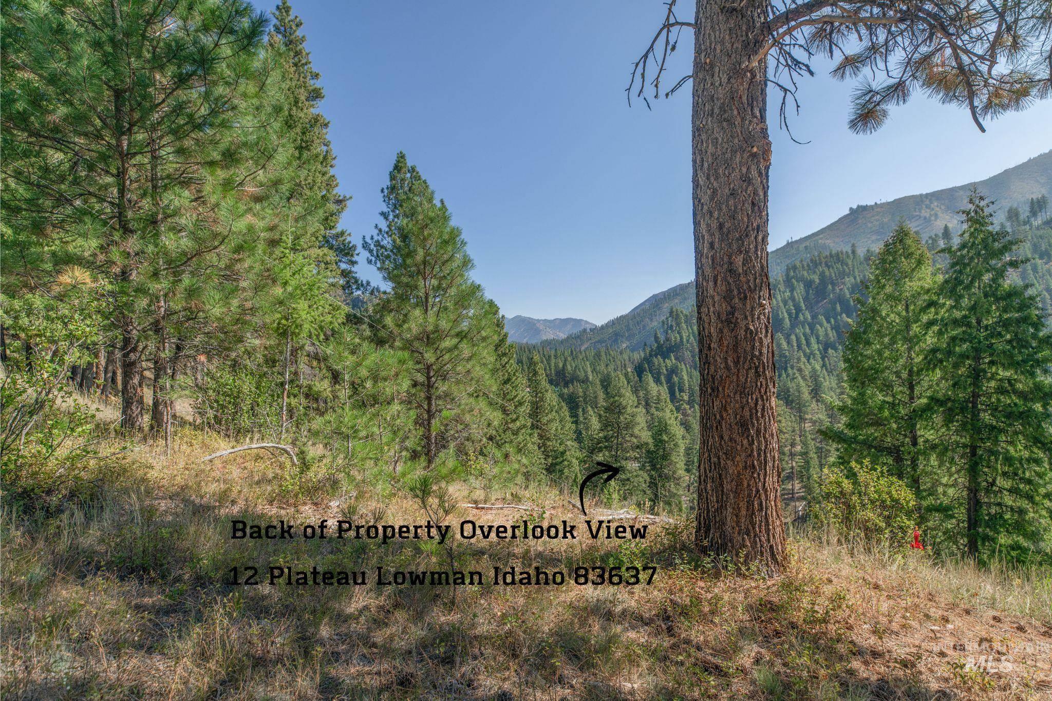 12 Plateau Road Lowman, ID 83637 - Photo 4 of 32 View of mountain background featuring a forest