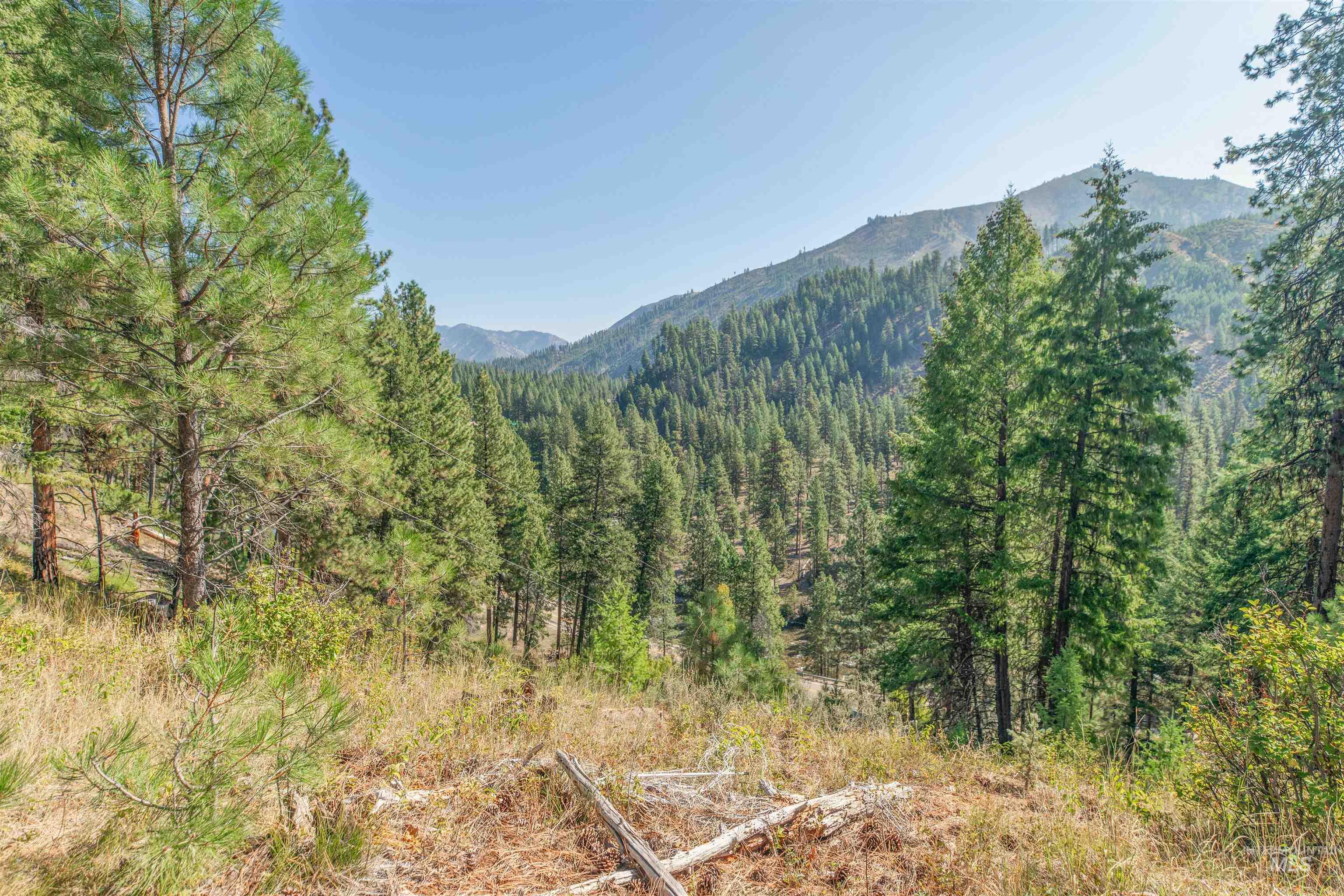 12 Plateau Road Lowman, ID 83637 - Photo 5 of 32 View of mountain backdrop featuring a heavily wooded area
