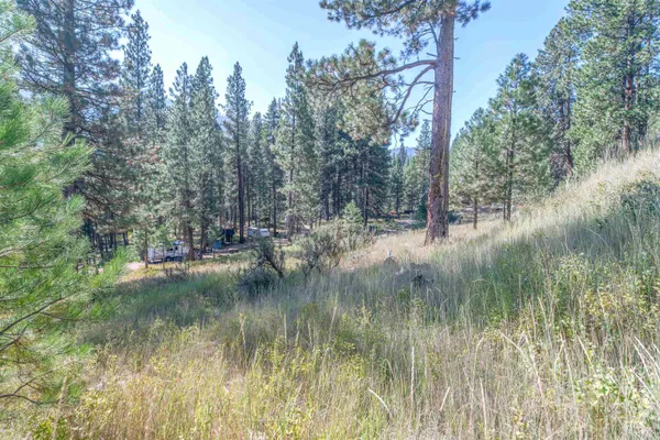 $225,000 | 12 Plateau Road, Lowman, ID 83637