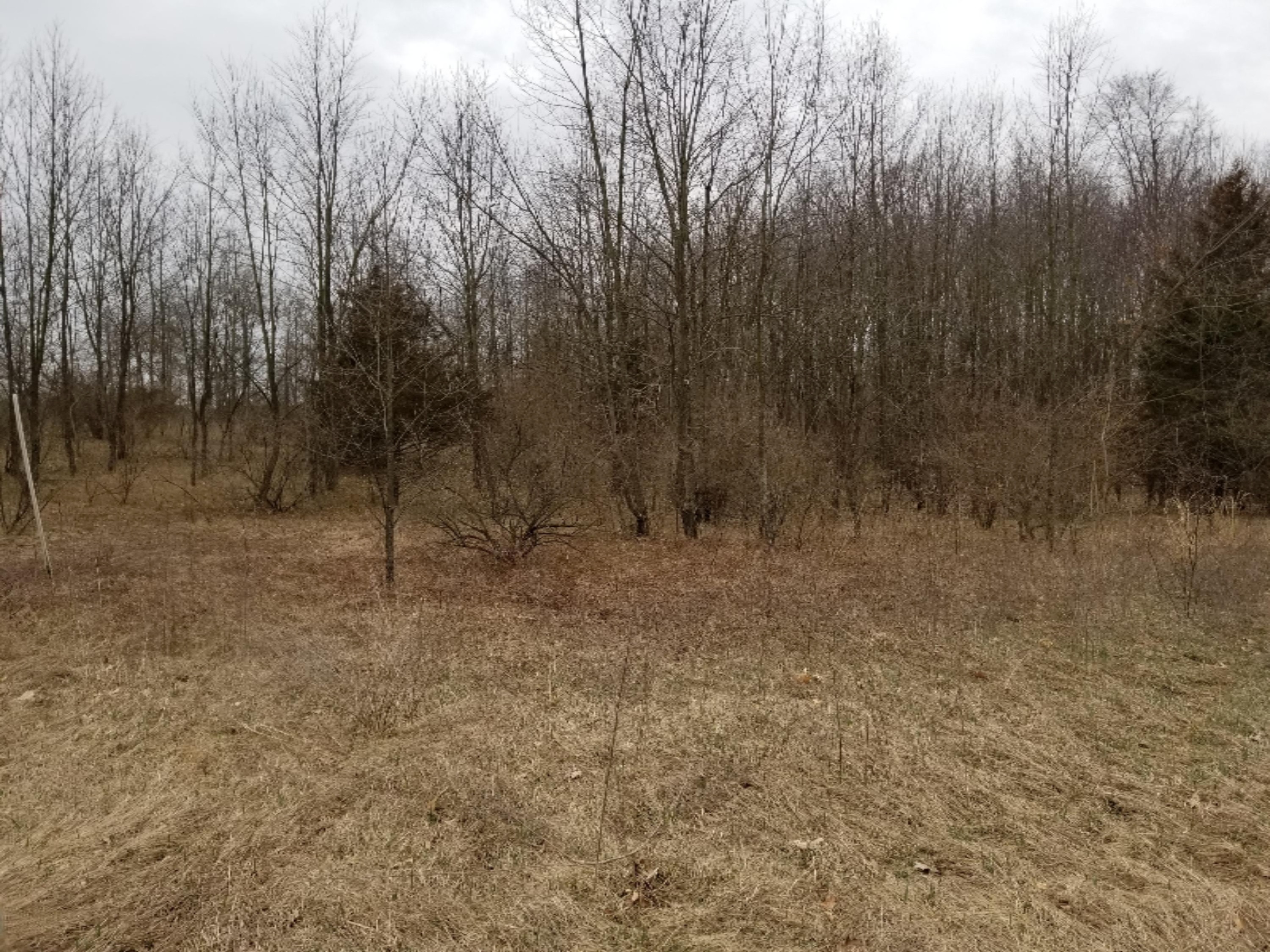 20180413_133912