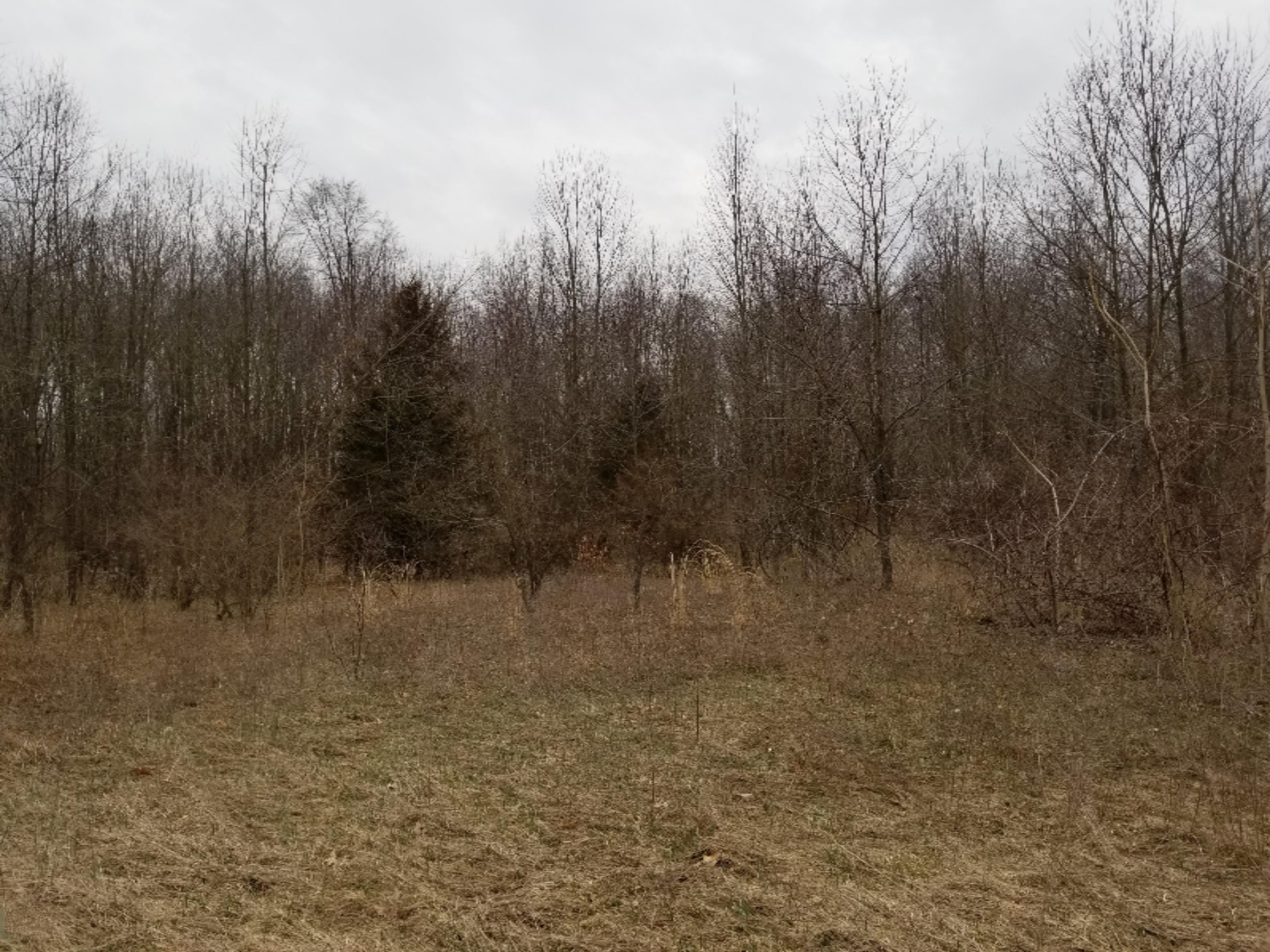 Parcel M Parcel M Ridge Point Drive Middleville, MI 49333 - Photo 2 of 2 20180413_133915