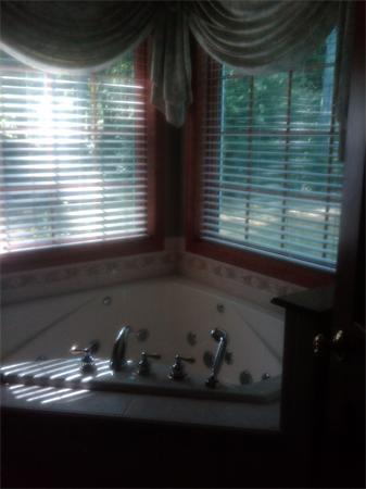 Gallery Image 6