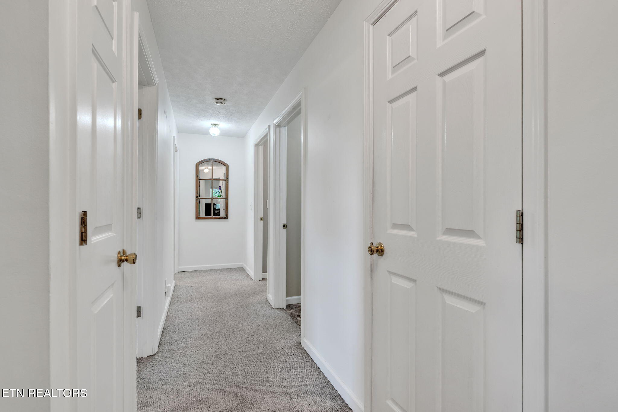 170 Duckett Ridge Road Tellico Plains, TN 37385 - Photo 14 of 48 24-web-or-mls-170 Duckett Ridge Rd-2528