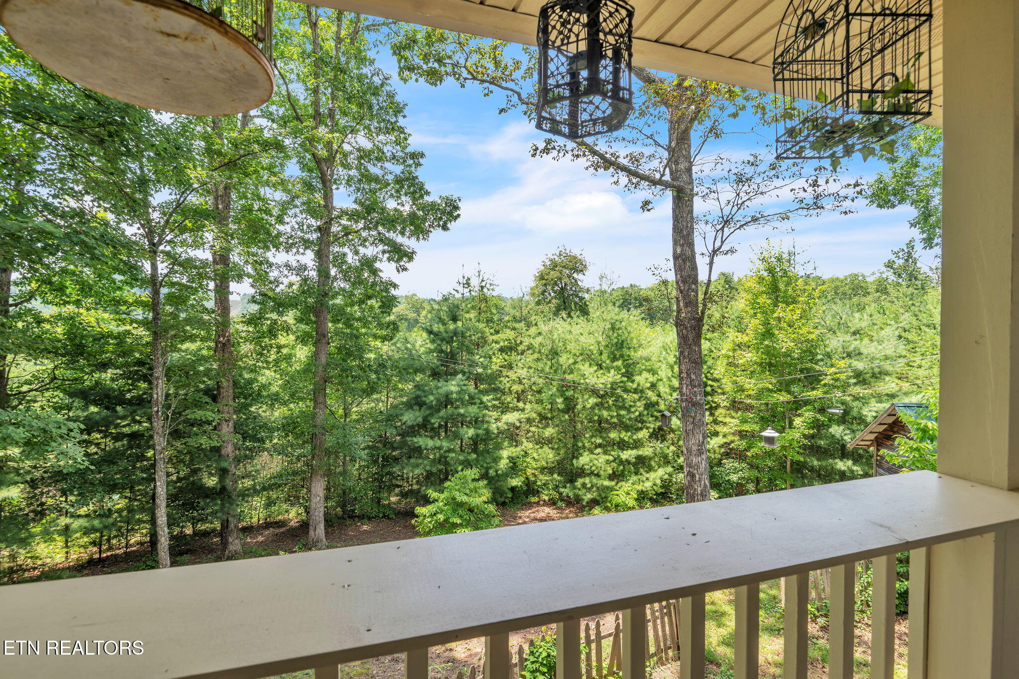 170 Duckett Ridge Road Tellico Plains, TN 37385 - Photo 38 of 48 39-web-or-mls-170 Duckett Ridge Rd-2575