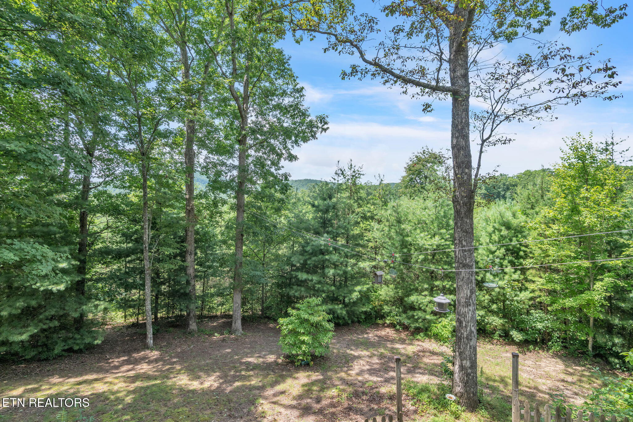 170 Duckett Ridge Road Tellico Plains, TN 37385 - Photo 39 of 48 38-web-or-mls-170 Duckett Ridge Rd-2570