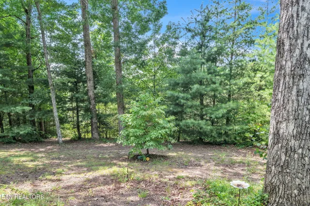 $374,900 | 170 Duckett Ridge Road, Tellico Plains, TN 37385