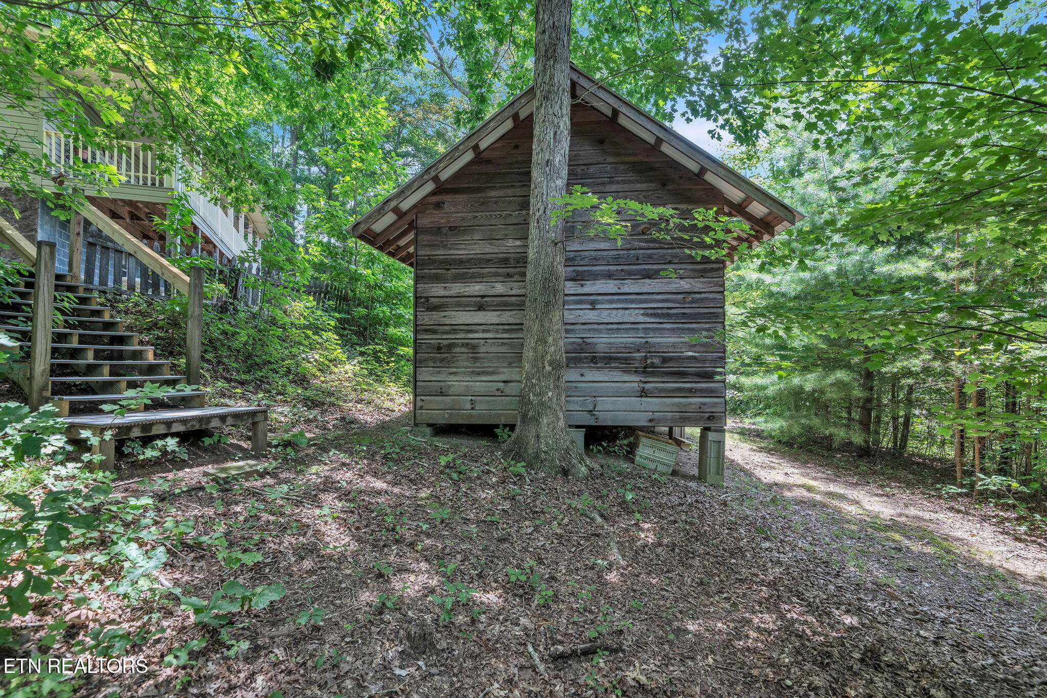 170 Duckett Ridge Road Tellico Plains, TN 37385 - Photo 41 of 48 46-web-or-mls-170 Duckett Ridge Rd-2594