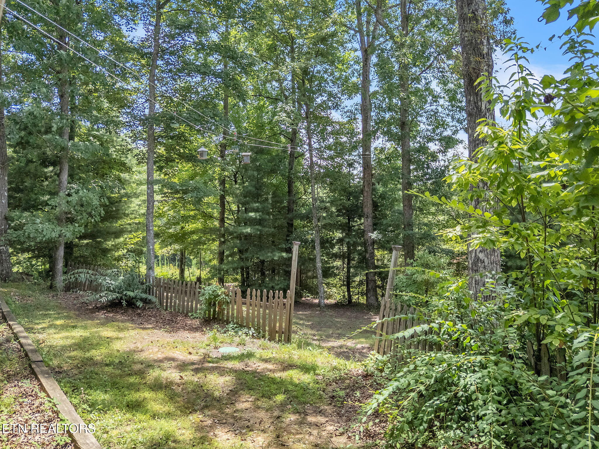 170 Duckett Ridge Road Tellico Plains, TN 37385 - Photo 47 of 48 54-web-or-mls-170 Duckett Ridge Rd--4