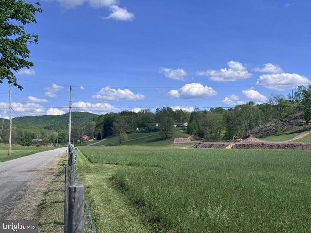 Tbd Shaffers Run Road Mill Creek, WV 26280 - Photo 38 of 43