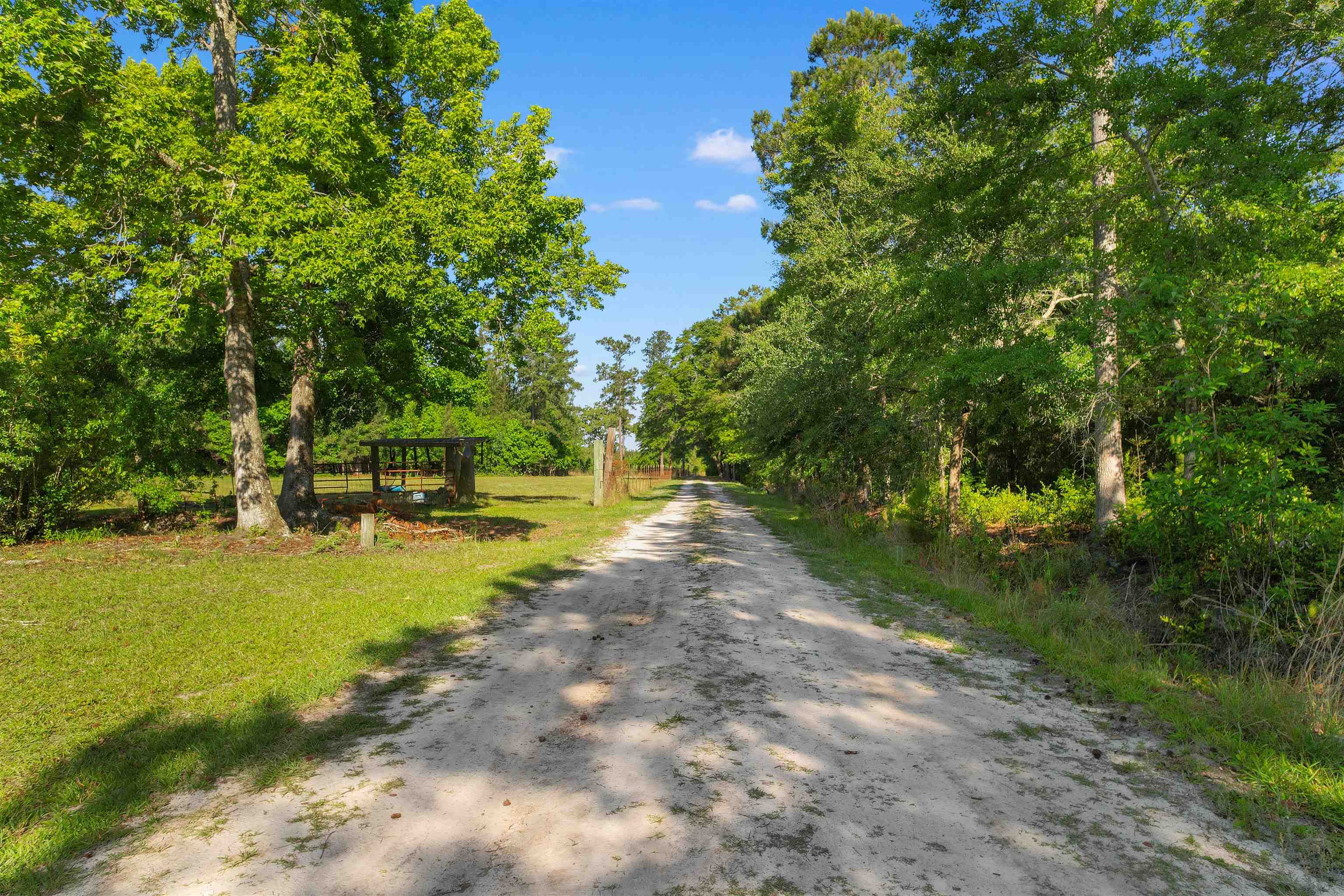 1040 Wee Tee Road Andrews, SC 29510 - Photo 53 of 55