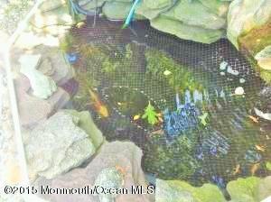 75 Bates Road Jackson, NJ 08527 - Photo 3 of 39 KOI pond.jpg