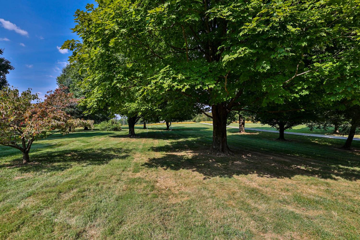 9500 North Dearborn Road Guilford, IN 47022 - Photo 38 of 54