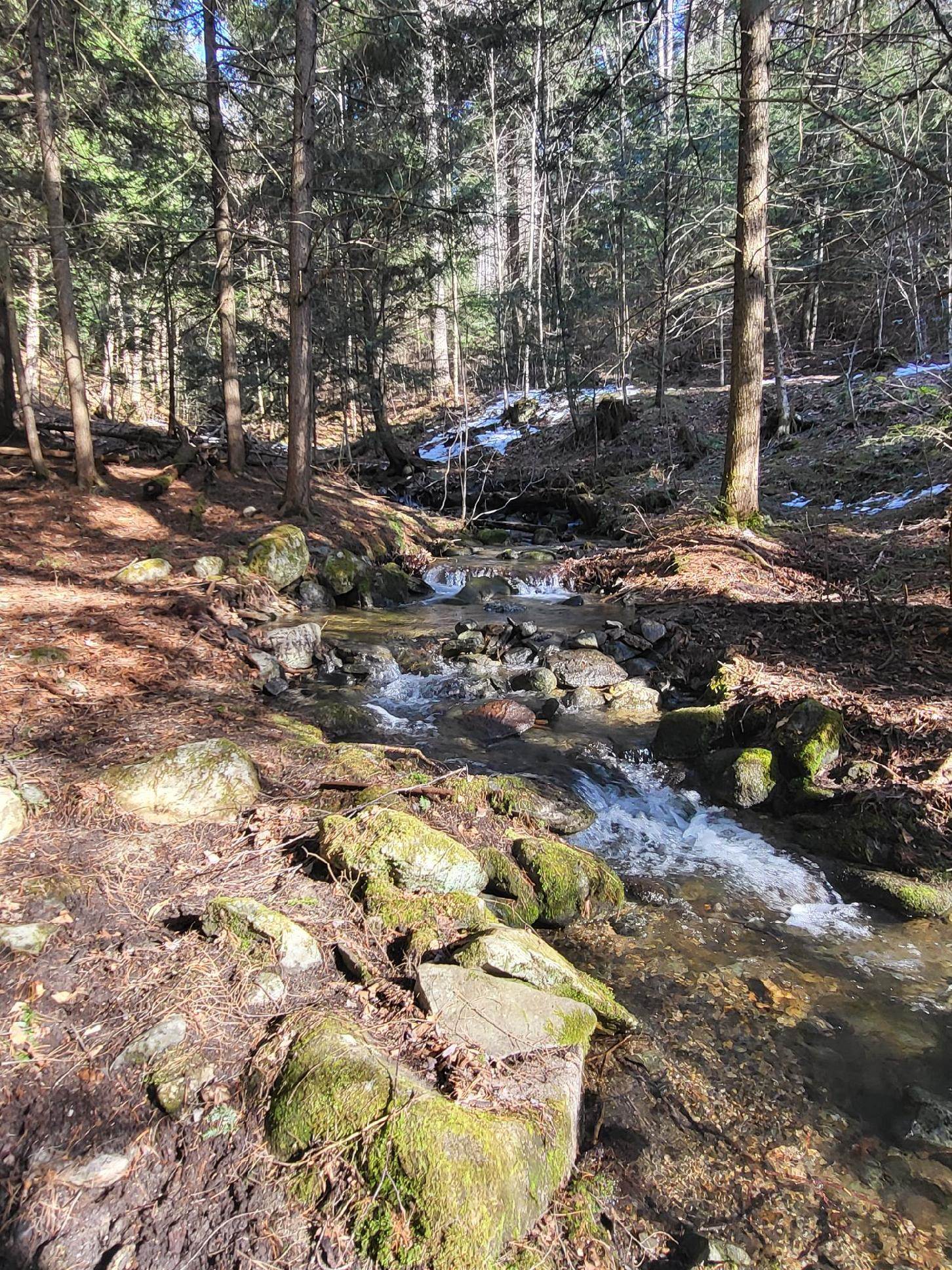 98 Pine Hill Road Monroe, NH 03771 - Photo 29 of 40