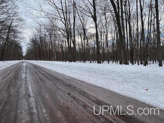 53554 North Superior Road Houghton, MI 49931 - Photo 9 of 41