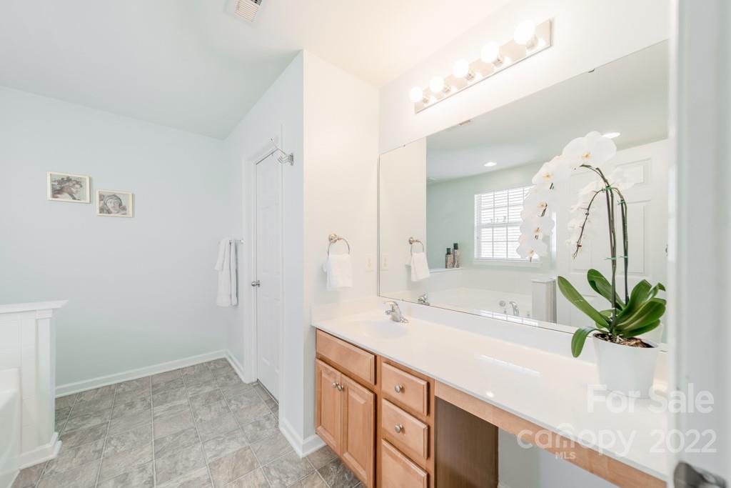194 Snead Road Fort Mill, SC 29715 - Photo 21 of 43 a spacious bathroom with a double vanity sink and a mirror