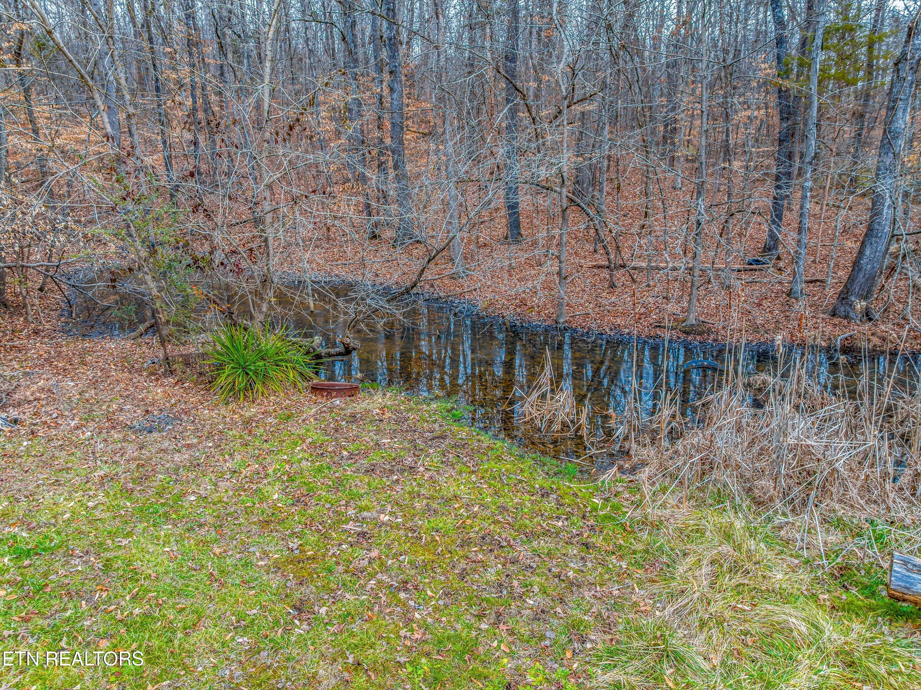 0 Highway 321 Hickory, NC 28602 - Photo 6 of 13 006-692US321-Newport-TN-37821-SMALL