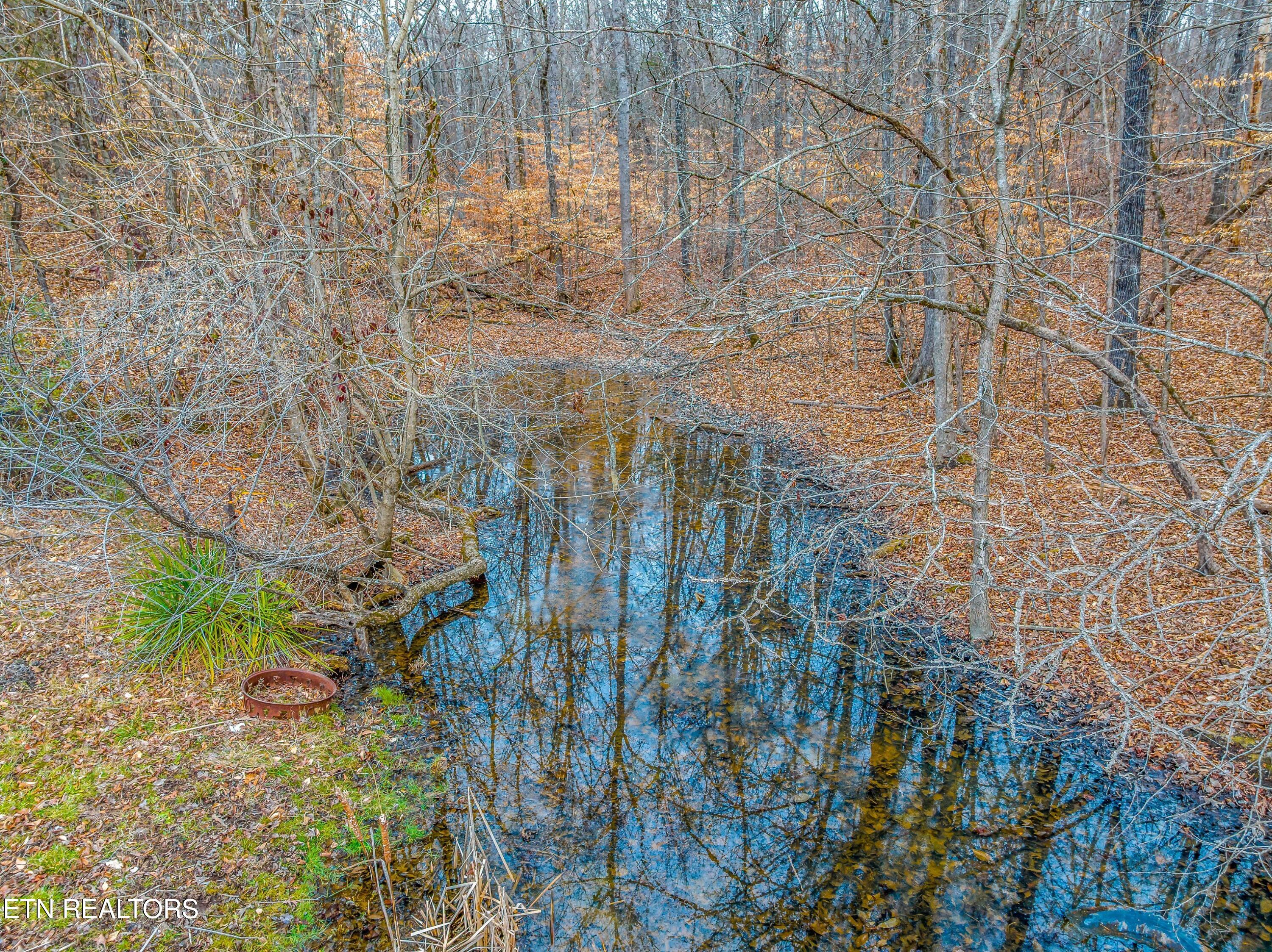 0 Highway 321 Hickory, NC 28602 - Photo 7 of 13 007-692US321-Newport-TN-37821-SMALL