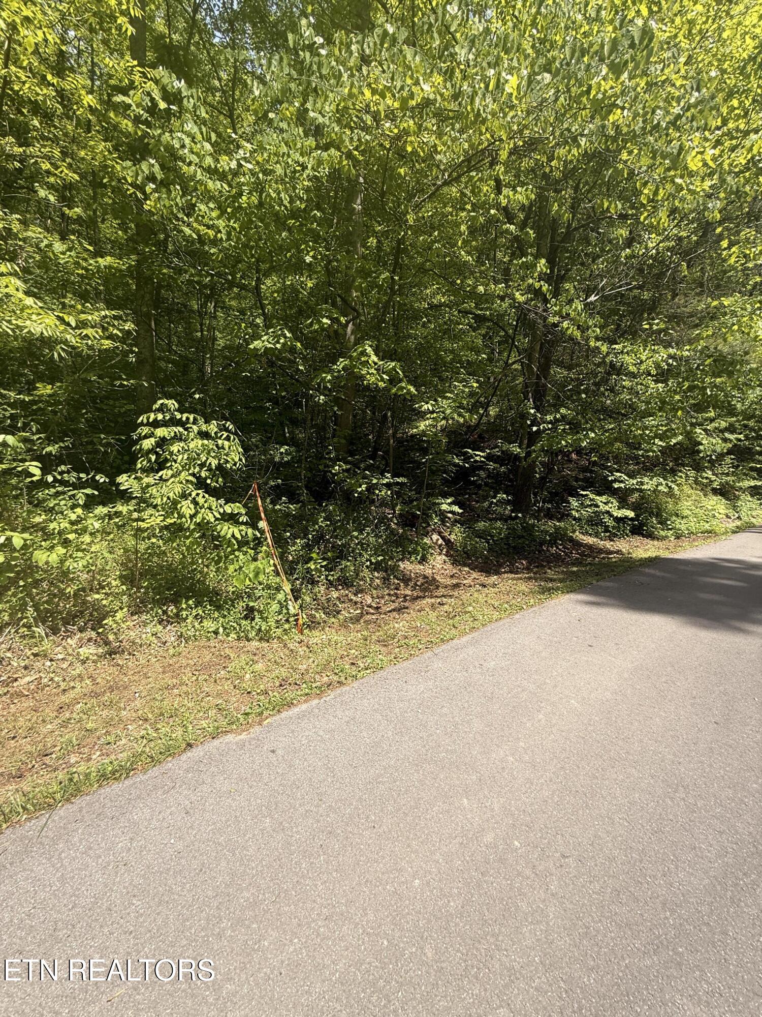 4045 Suttons Road Sevierville, TN 37876 - Photo 3 of 5 IMG_7860