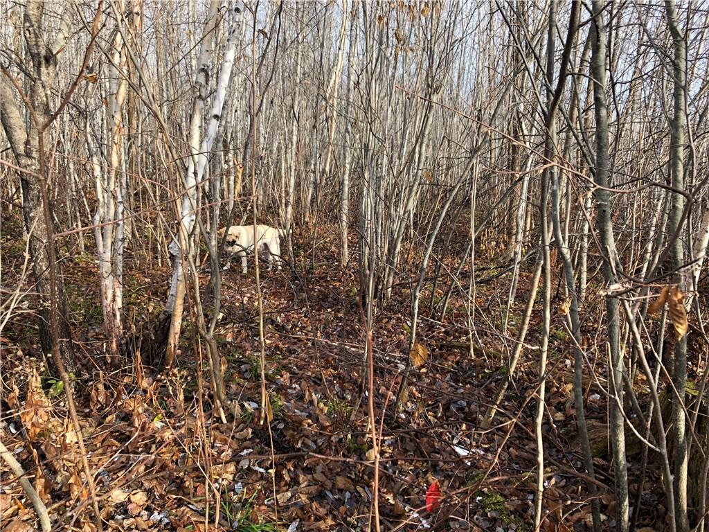 Lot 12 Fowler Road Woodland, ME 04736 - Photo 6 of 6 Photo