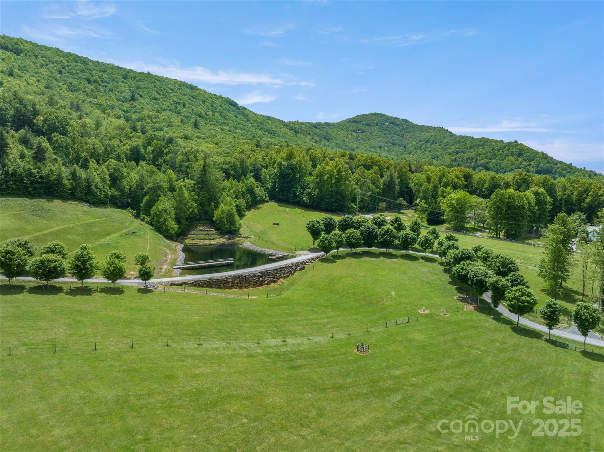 1547 Walnut Cove Road Hendersonville, NC 28739 - Photo 36 of 48