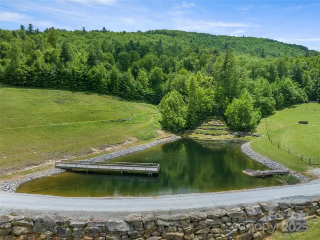 a view of a garden with a lake