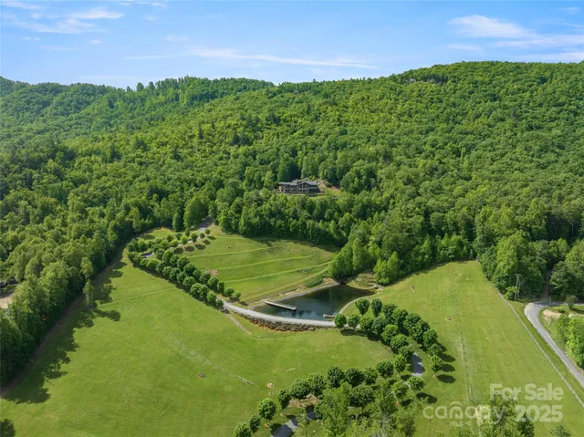 a view of a green field with lots of bushes
