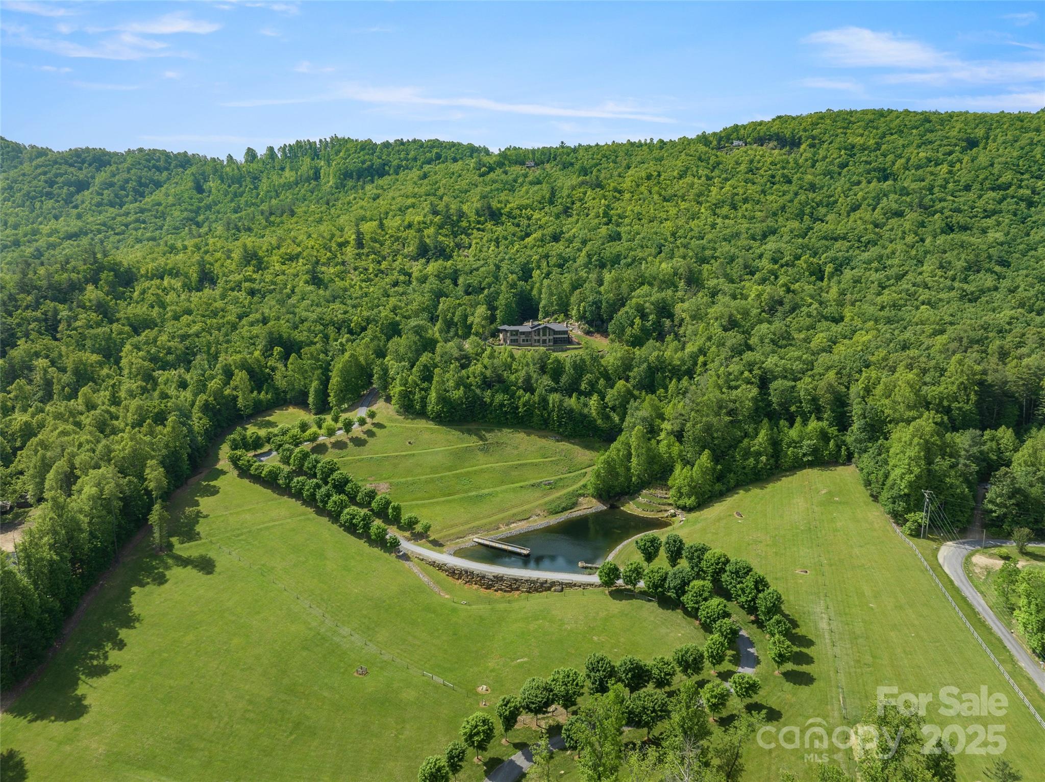 1547 Walnut Cove Road Hendersonville, NC 28739 - Photo 4 of 48