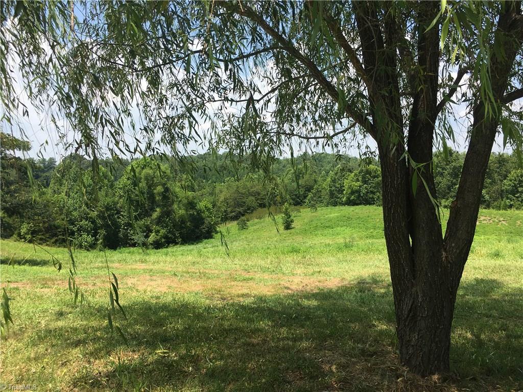 2089 Griffin Road Rural Hall, NC 27045 - Photo 23 of 30 View from the front yard.