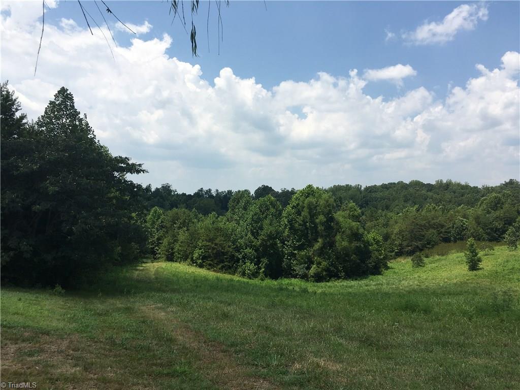 2089 Griffin Road Rural Hall, NC 27045 - Photo 27 of 30 Slightly sloping with field and wooded areas.