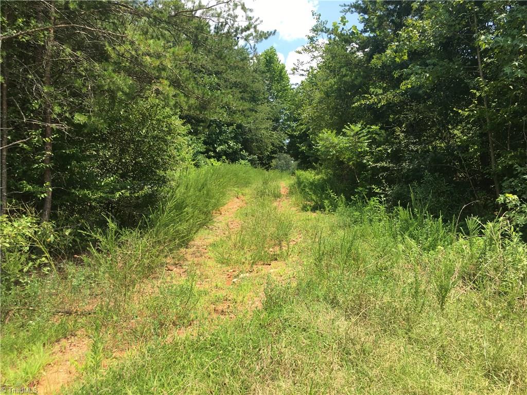 2089 Griffin Road Rural Hall, NC 27045 - Photo 29 of 30 Fields and wooded areas.