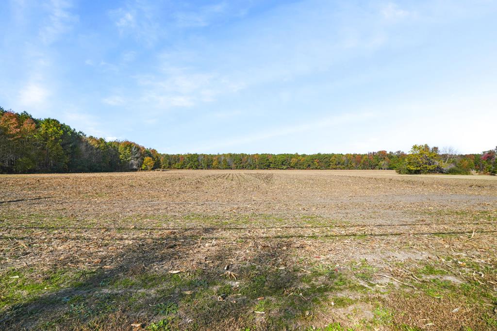 Lot 177 Hopeton Road, Unit 177 Bloxom, VA 23308 - Photo 1 of 5