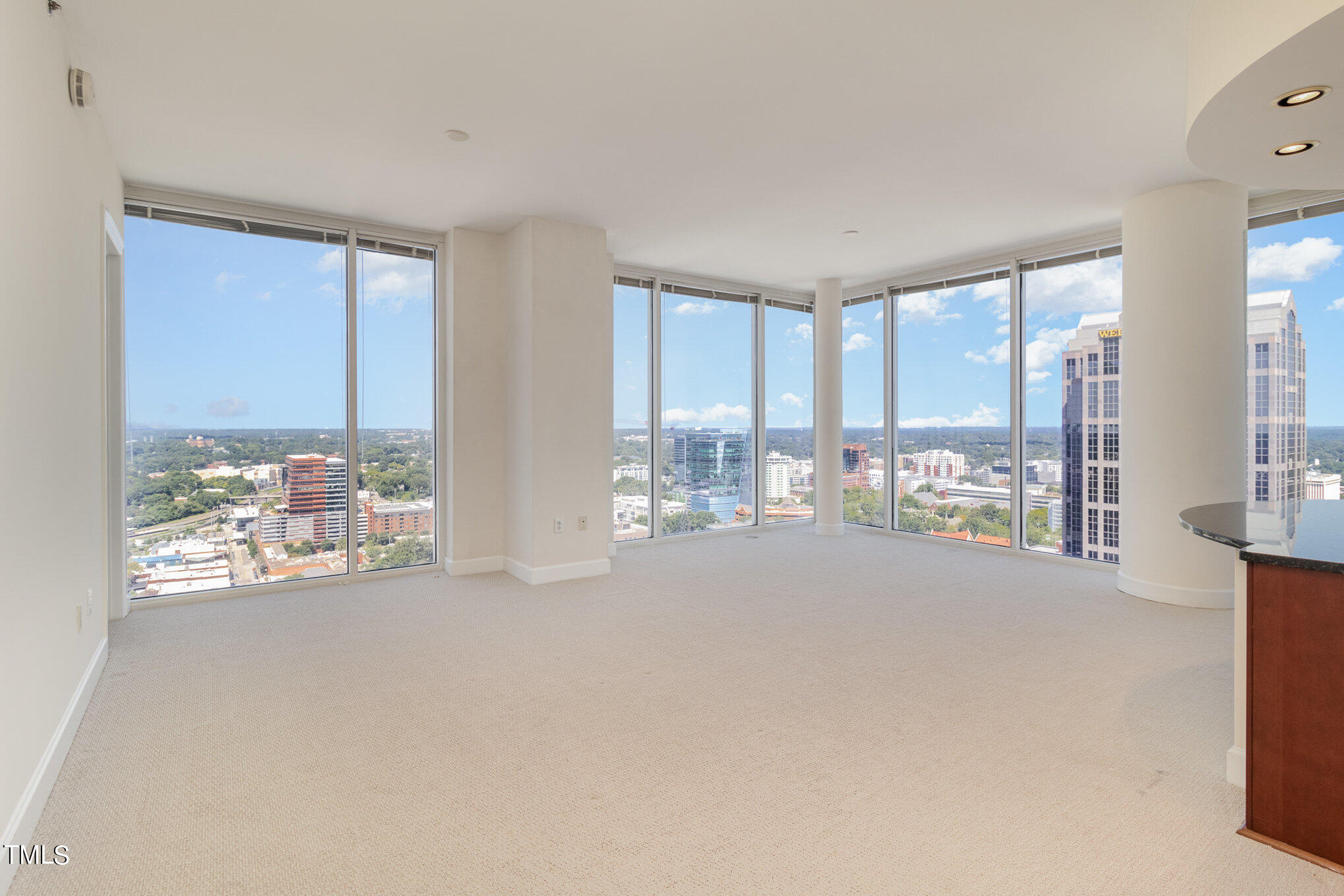 301 Fayetteville Street, Unit 2501 Raleigh, NC 27601 - Photo 5 of 33 Living Room