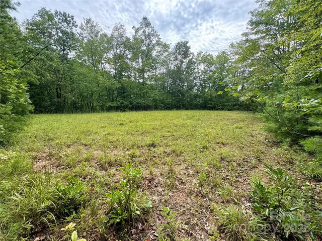 $29,000 | 0 Chickadee Trail, Unit 61, Bryson City, NC 28713