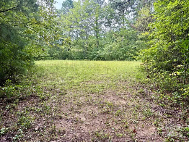 $29,000 | 0 Chickadee Trail, Unit 61, Bryson City, NC 28713