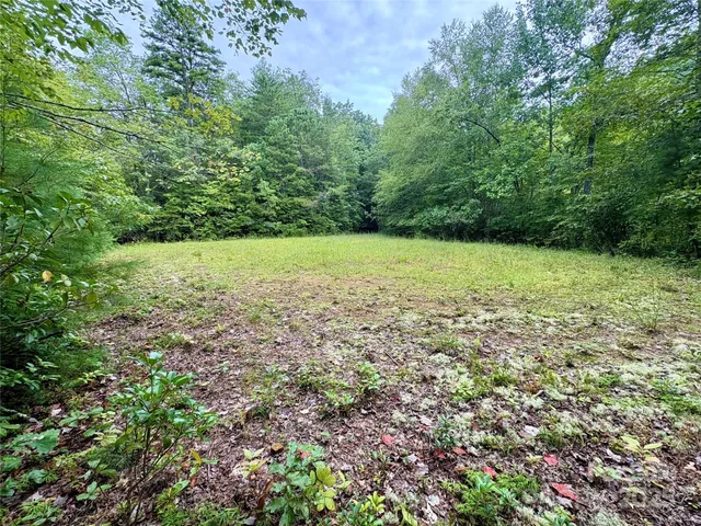 $29,000 | 0 Chickadee Trail, Unit 61, Bryson City, NC 28713