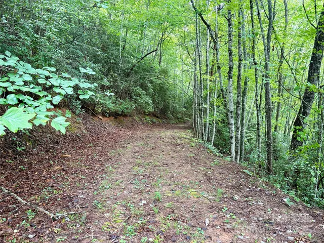 $29,000 | 0 Chickadee Trail, Unit 61, Bryson City, NC 28713