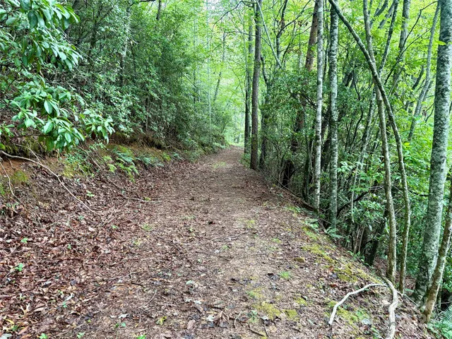 $29,000 | 0 Chickadee Trail, Unit 61, Bryson City, NC 28713