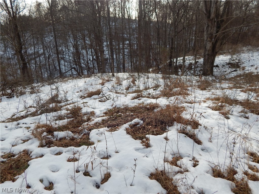 Fingerboard Road Big Springs, WV 26137 - Photo 5 of 21