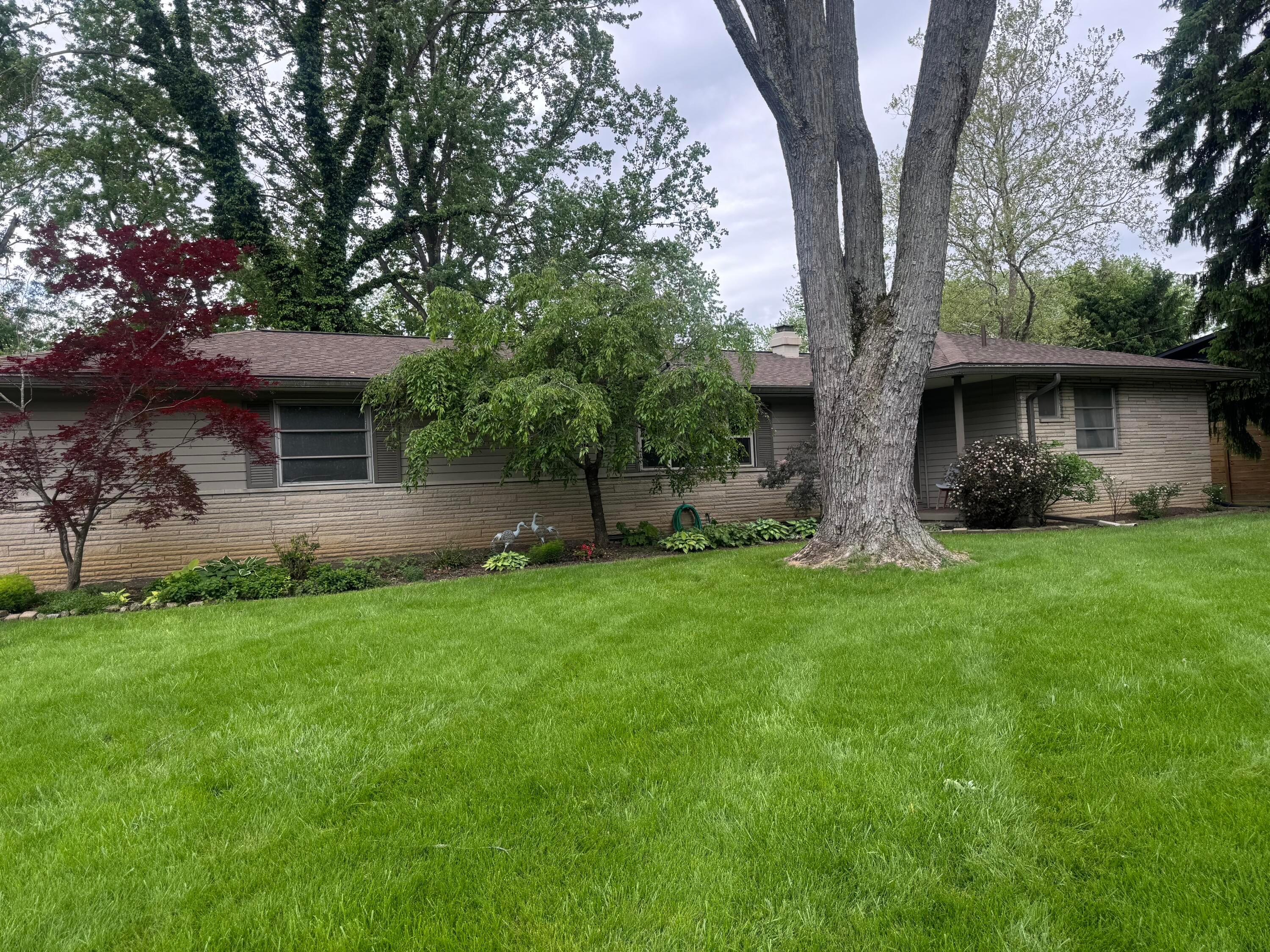1273 Francisco Road Columbus, OH 43220 - Photo 1 of 1 IMG_6238