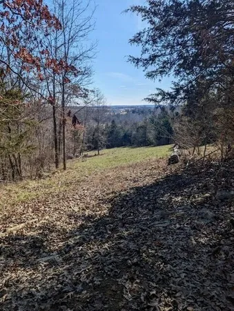 $268,000 | 0 Fishing Creek Road, Falmouth, KY 41040