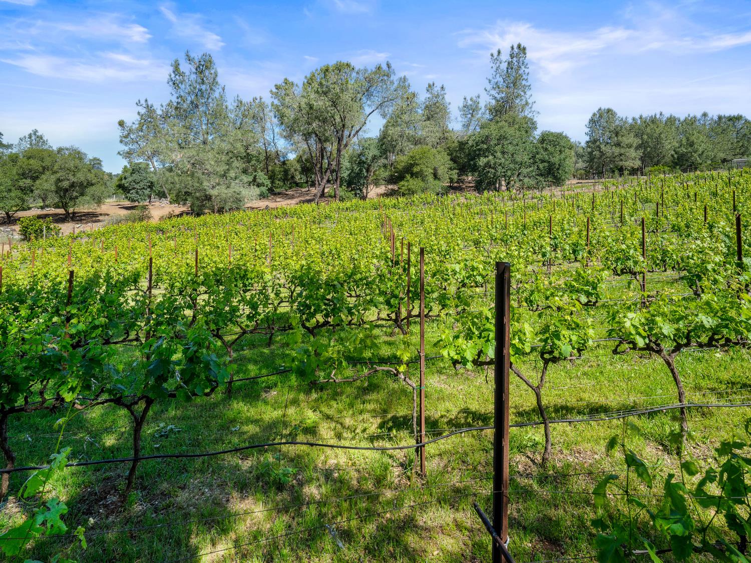 5080 Gold Hill Road Placerville, CA 95667 - Photo 58 of 63
