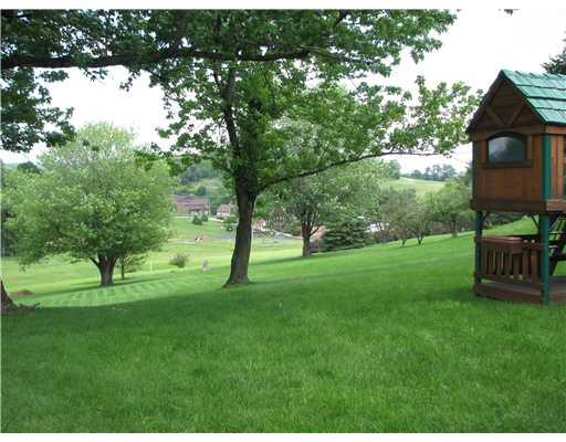 29 Munntown Road Eighty Four, PA 15330 - Photo 10 of 11 Yard/Garden.